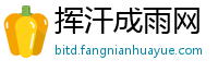 挥汗成雨网